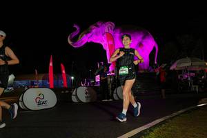 BIB: 
                            <button type="button" onclick="openModal(26544293)" class="btn btn-primary btn-sm float-right btn-popup" data-toggle="modal" data-target=".modal-high-quality">
                        <i class="fas fa-shopping-cart"></i> Add to Cart
                    </button>
                                            <button type="button" onclick="isThisMe(26544293, true)" class="btn btn-success btn-sm float-right btn-popup btn-isme hidden" data-toggle="tooltip" data-placement="bottom" title="นี่คือรูปของคุณใช่ไหม คลิกที่นี่เพื่อเอาเข้าอัลบั้ม">
                        <i class="fas fa-plus"></i> Add to album
                    </button>
                    <button type="button" onclick="isThisMe(26544293, false)" class="btn btn-warning btn-sm float-right btn-popup btn-isnotme hidden">
                        <i class="fas fa-ban"></i> Remove from album
                    </button>